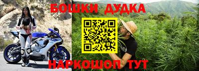 стаф Свободный
