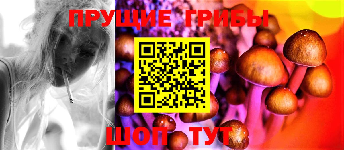 Галлюциногенные грибы ЛСД Саянск